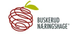 Buskerud Næringshage AS